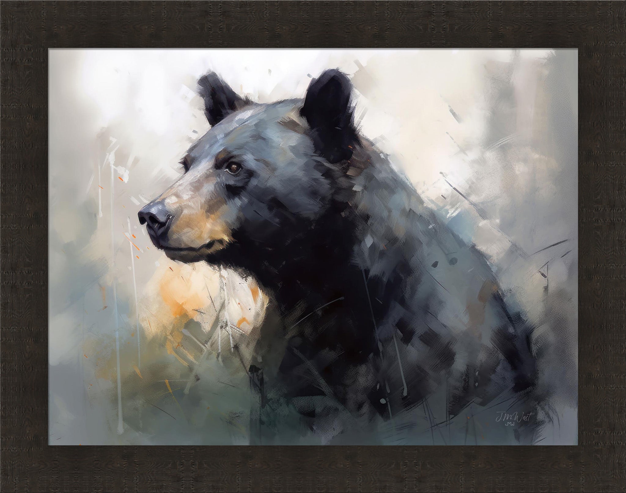 Curious Black Bear