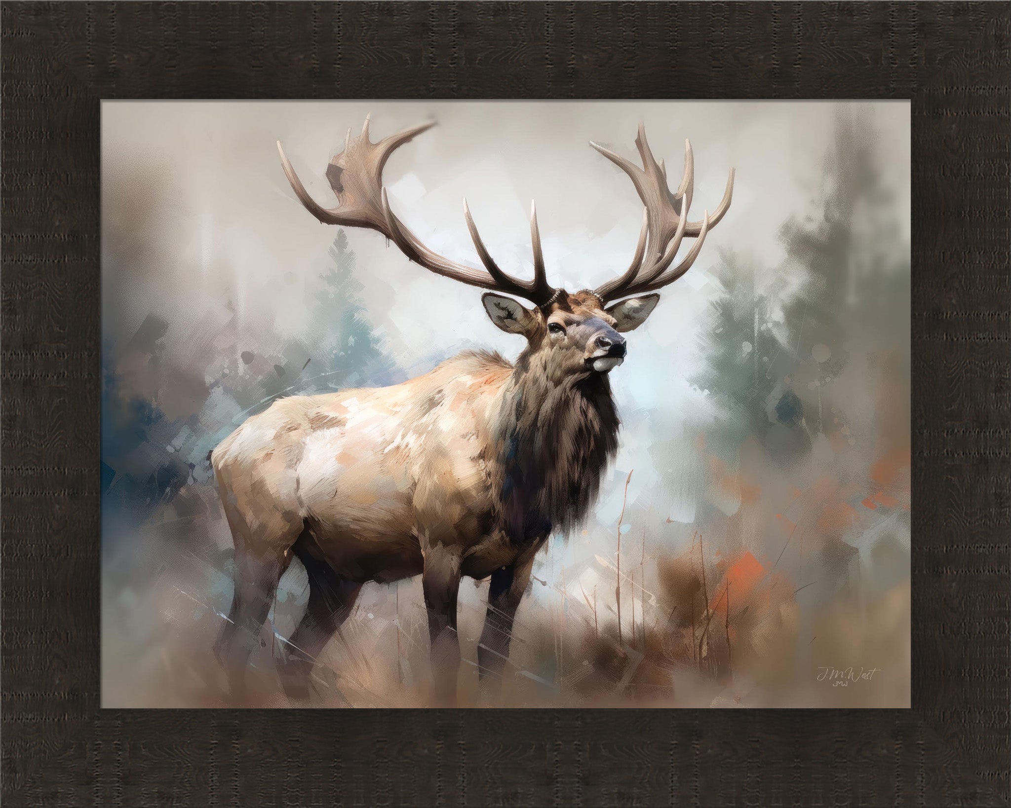 Woodland Wonder